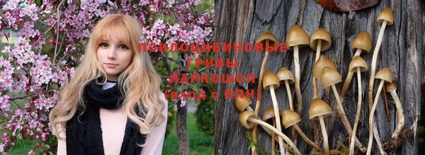 не бодяженный Осинники